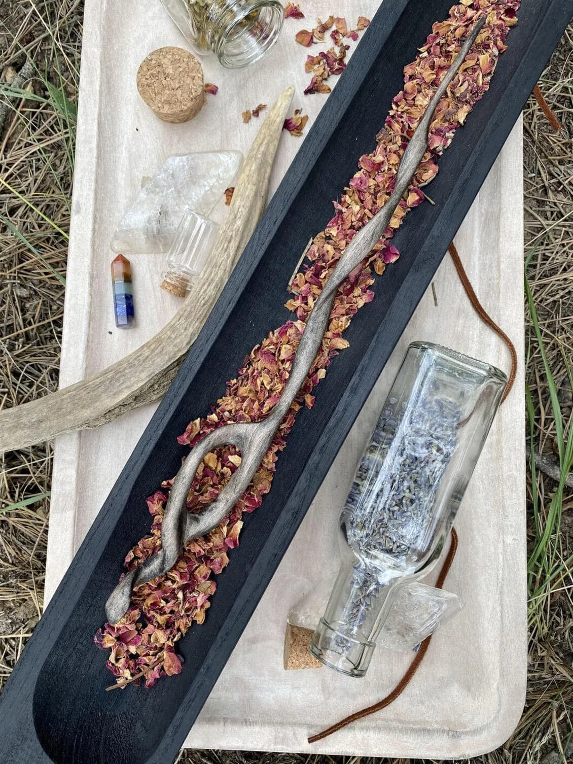 Wands in the Wild — Prairie to Pines